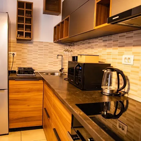 Apartament Terrace Coresi *